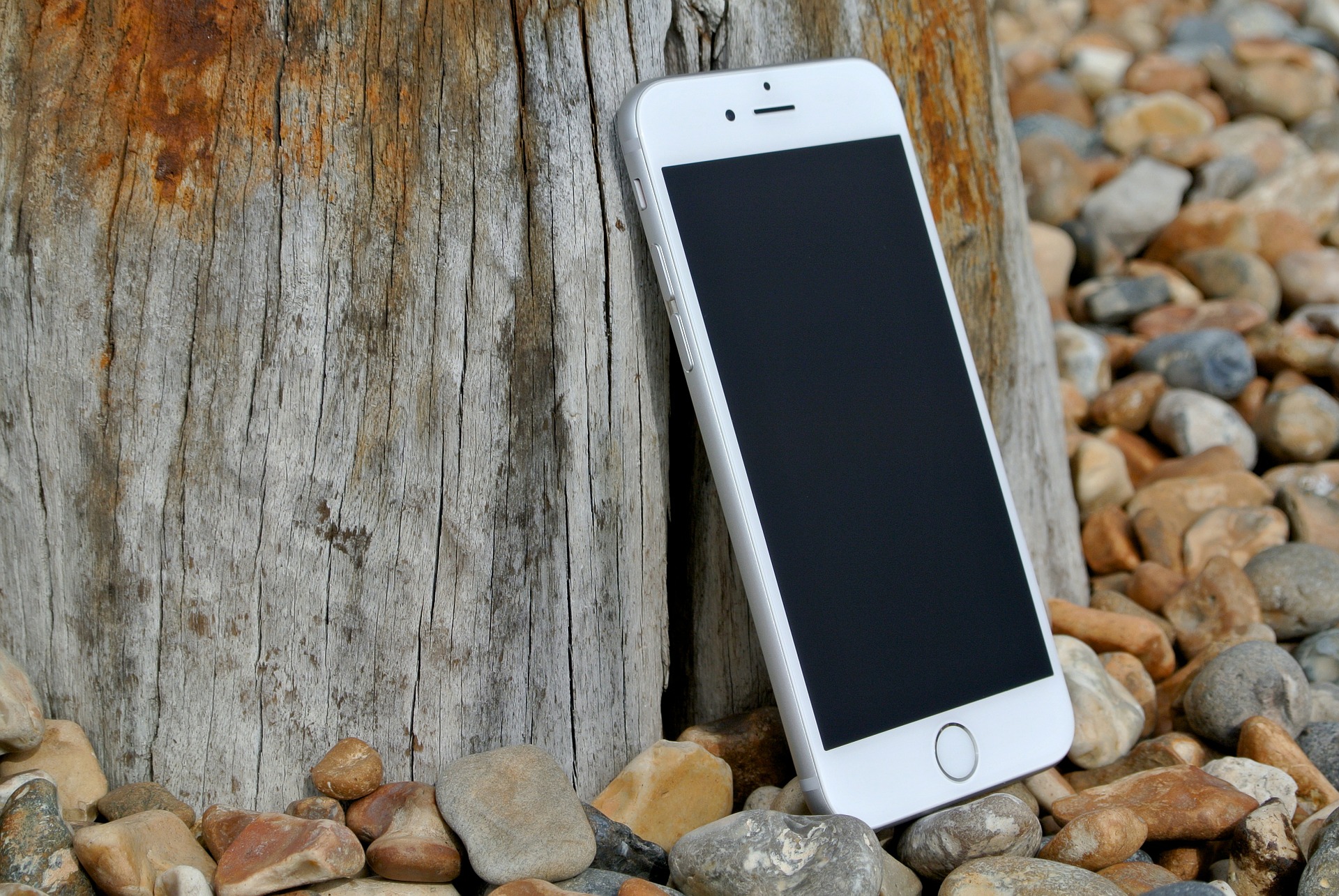 iphone-6-leaning-against-tree